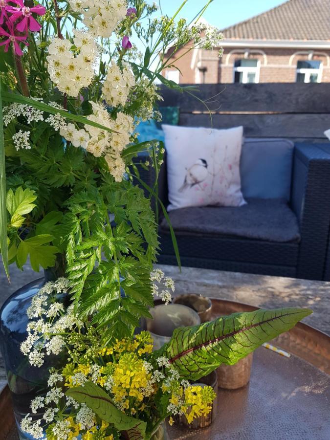 통게렌 Maison Sophie B&B 외부 사진